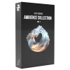 Ambience Collection 01